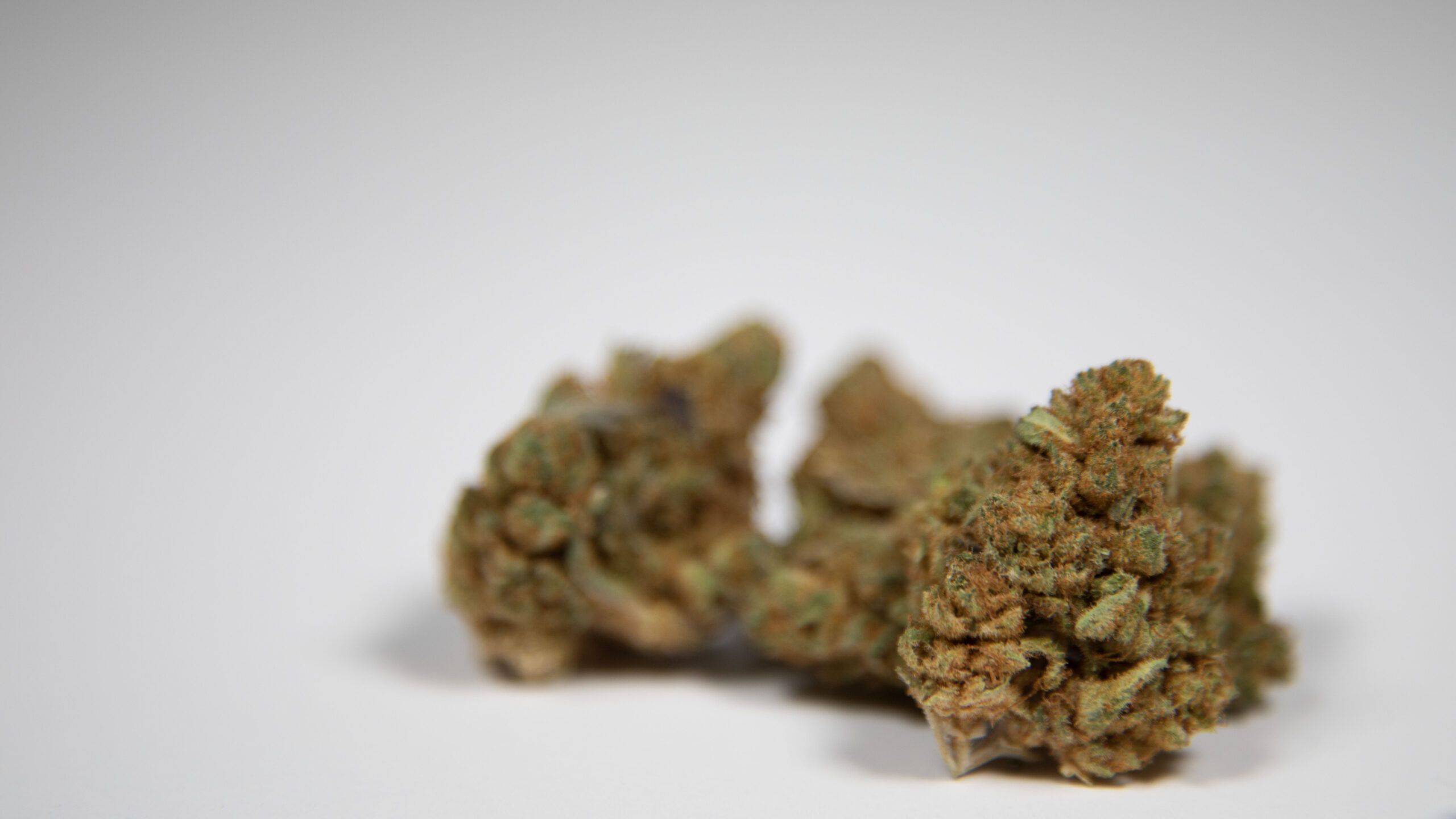 Cannabis & Tourism in Nevada: A Visitor’s Guide